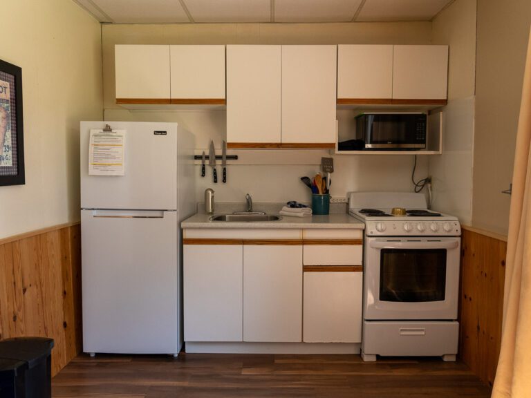 Cottage kitchen appliances and cupboards