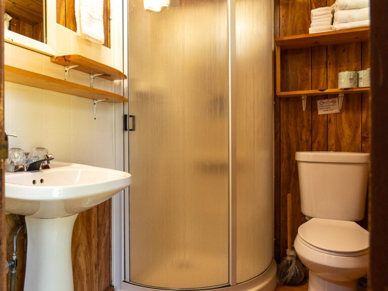 Shower stall and toilet