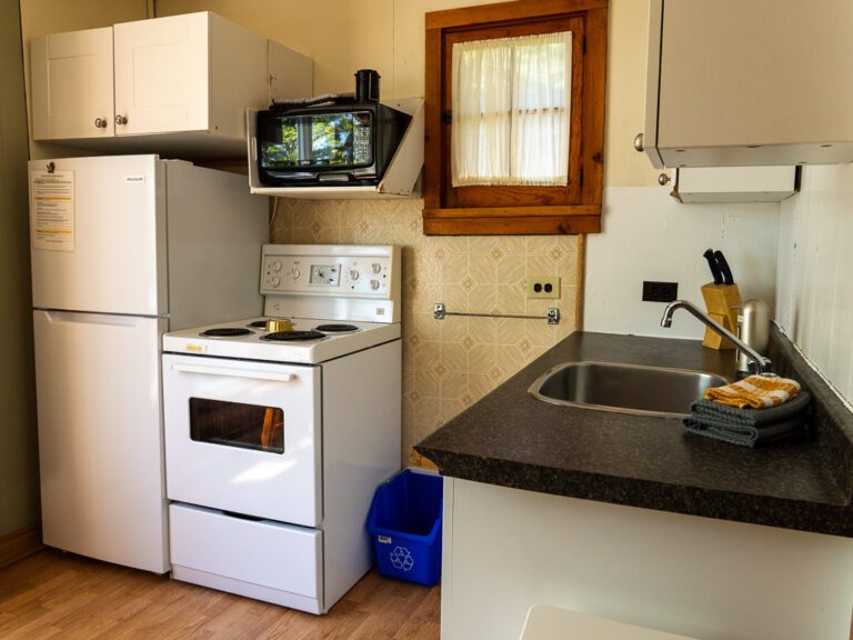 Stove, sink and fridge in cabin kitchen