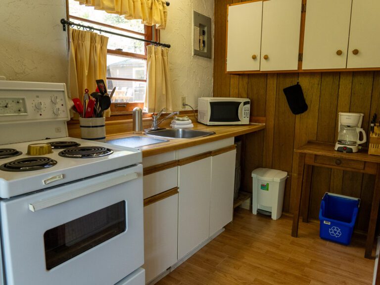 Cabin kitchen with window above sink