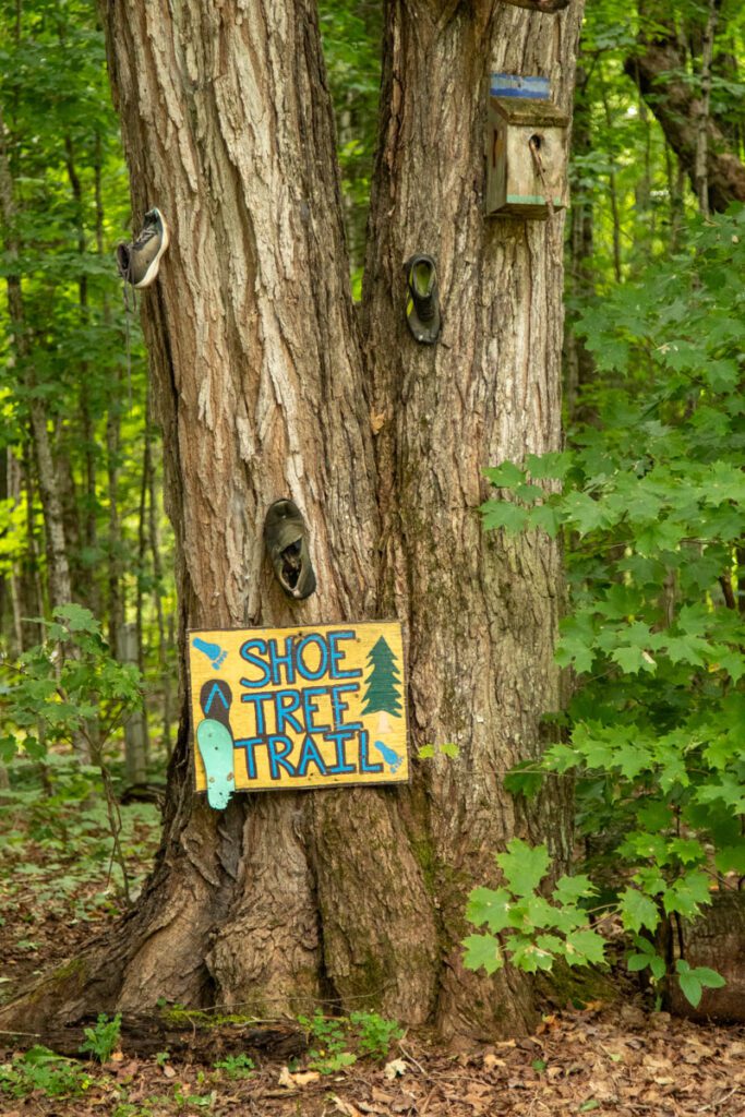 A sign nailed to a tree reading "Shoe Tree Trail"