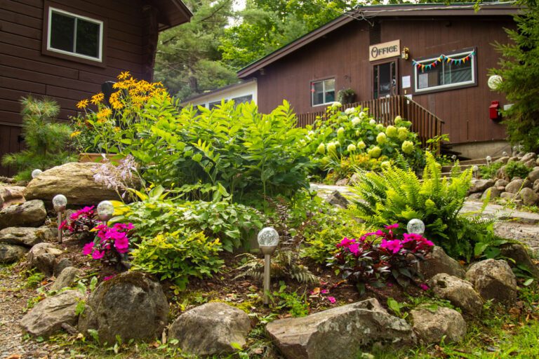 Flowers bloom outside wooden cabins