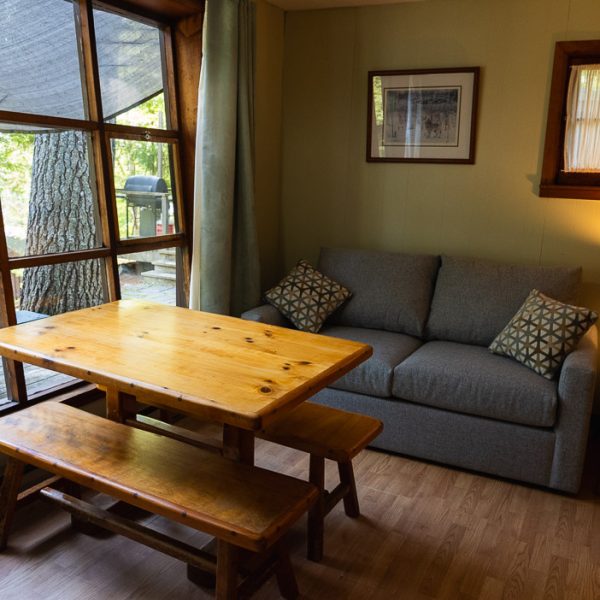 BBM09923_Cottage-2 Couch, table, and wall of windows in a cottage